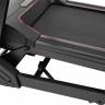 Беговая дорожка Titanium Masters Physiotech TCA Беговая дорожка Titanium Masters Physiotech TCA