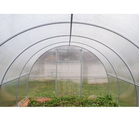 Теплица Агросфера-Престиж 4 м, без СПК